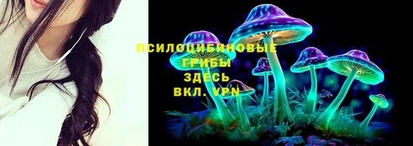 трава Арсеньев